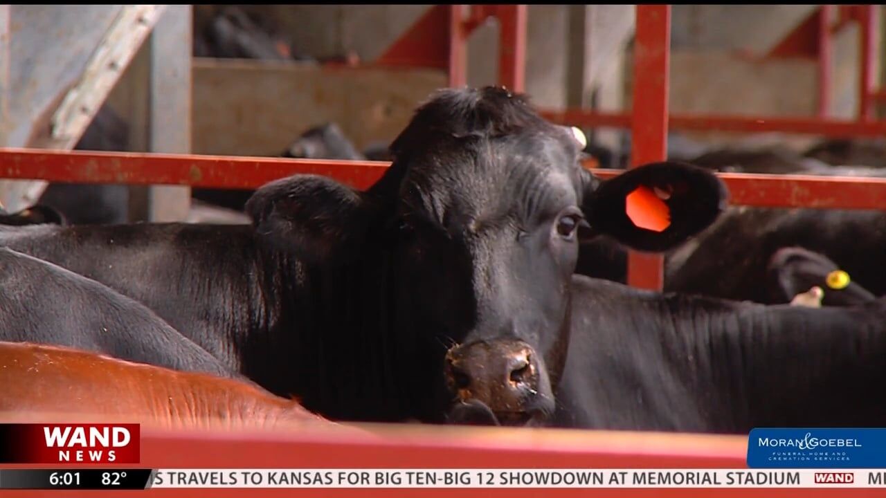Teutopolis family thanks community after barn destroyed in storm rebuilt